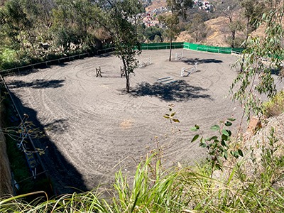 Sin-título-1