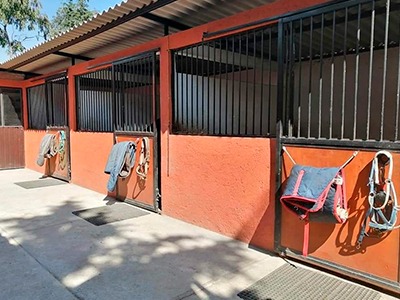 Sin-título-2