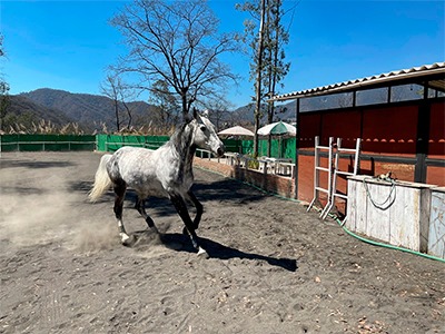 Sin-título-3
