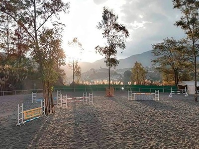 Sin-título-4